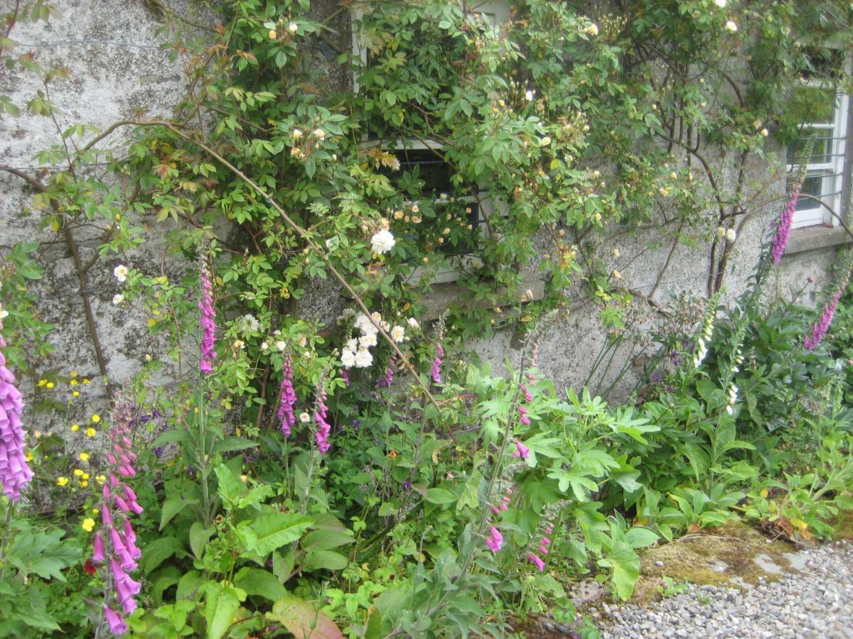 Ballydugan Country House Downpatrick Exterior foto